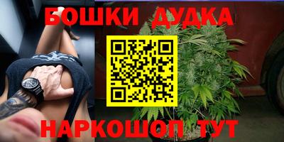 индика Ликино-Дулёво