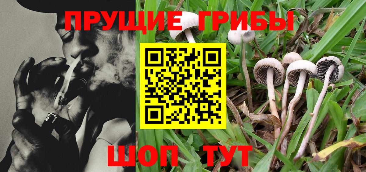 Галлюциногенные грибы MAGIC MUSHROOMS  Вход с VPN  Галлюциногенные грибы прущие грибы  Железноводск 